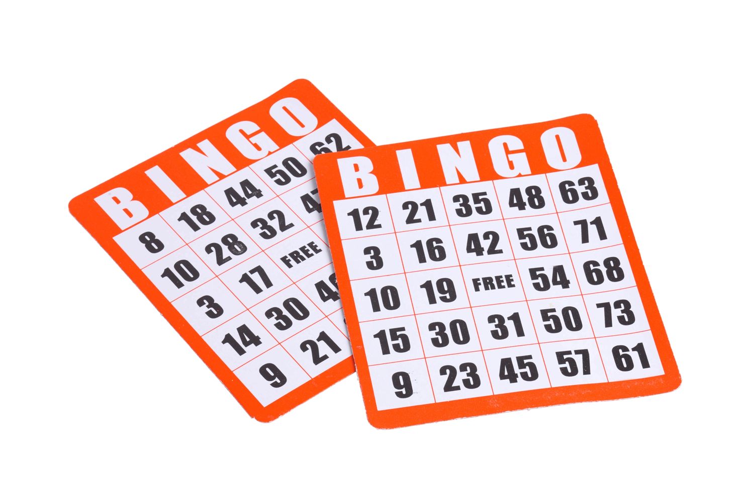 custom bingo caller online free