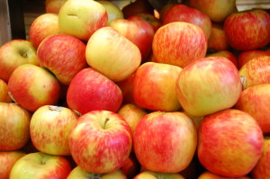 a-guide-to-fall-apples-by-greenblender-gala